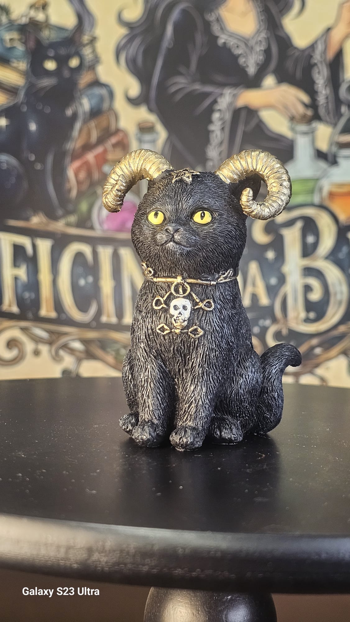 Gatos Mágicos